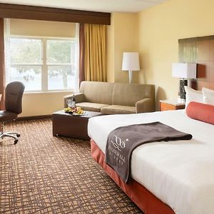 King Room Disability Access